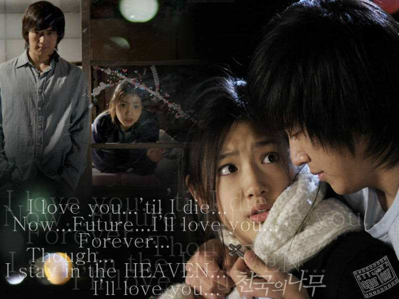 » Tree of Heaven » Korean Drama