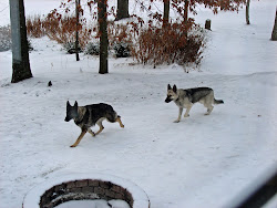 snohwee