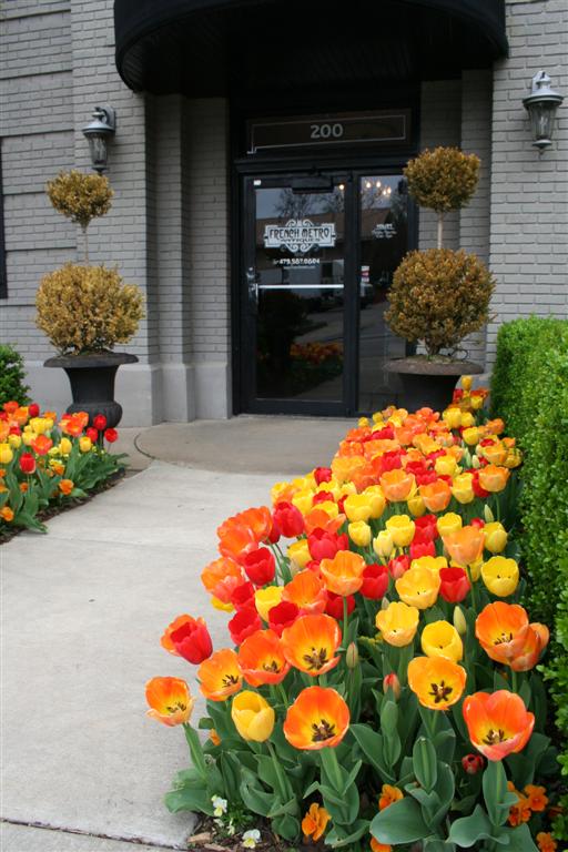 [Garden Spring 10 020 (Large).JPG]