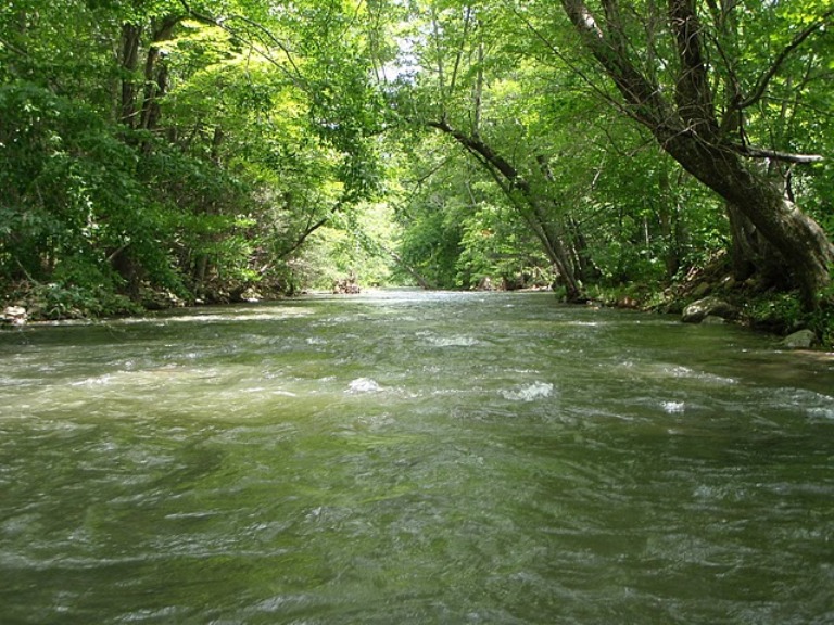 The Jordan Mines Journal Covington and Potts Creek