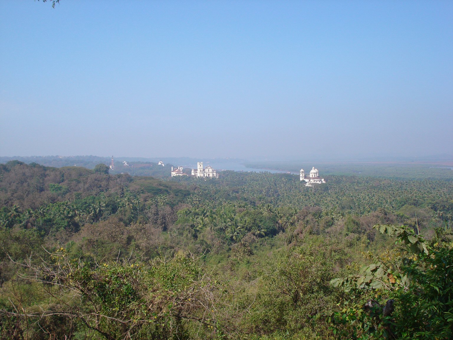[DSC00325.JPG]