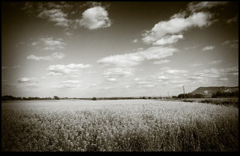 Horizontes Entrelazados