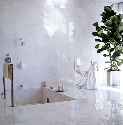 by Arthur Elrod and a bathroom clad entirely in Carrara marble.