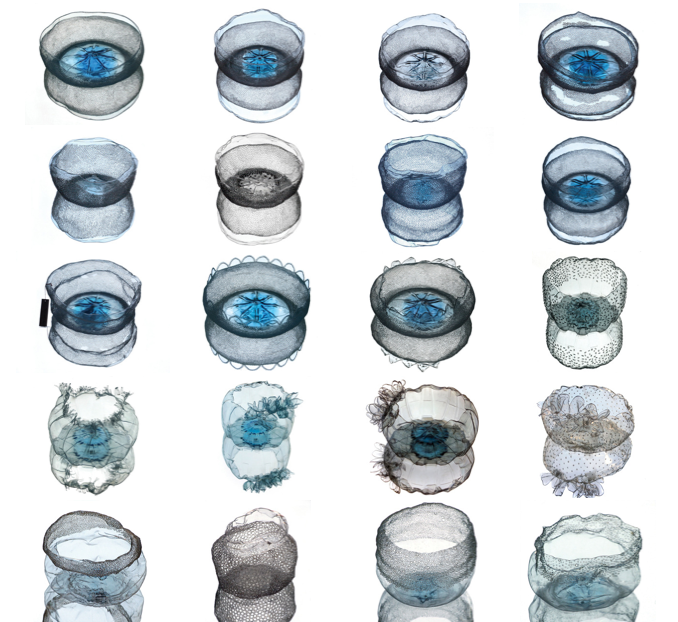 If It's Hip, It's Here (Archives) UPCYCLING Stunning Bowls Made From