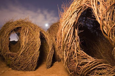 childhood dreams 1 Stickwork. A New Book Featuring The Amazing Work Of Patrick Dougherty.