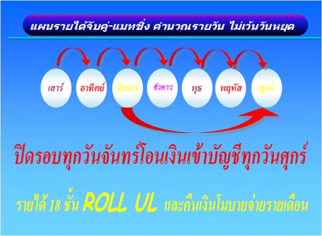 การจ่ายรายได้  BSwan BSY