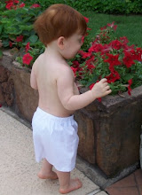 Cotton Baby Boxer in White