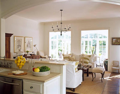 beautiful white homes