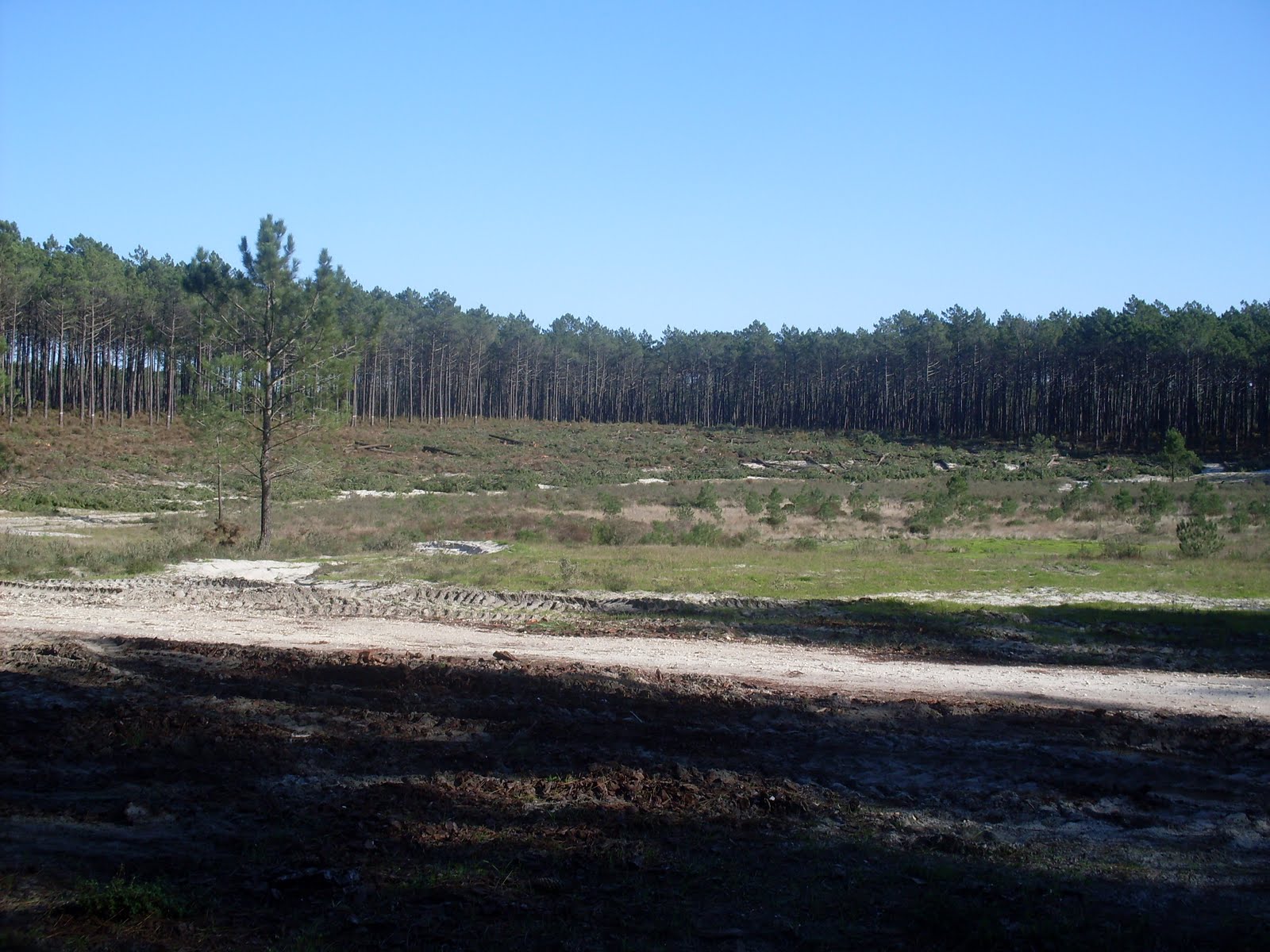 [SDC13662.JPG]