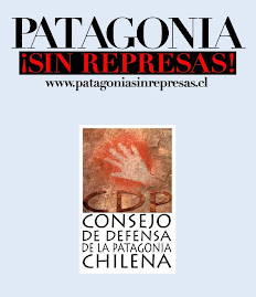 PATAGONIA ¡SIN REPRESAS!