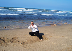 Practica de wushu y tai chi chuan