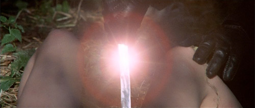 [protectedimage1.php.jpeg]