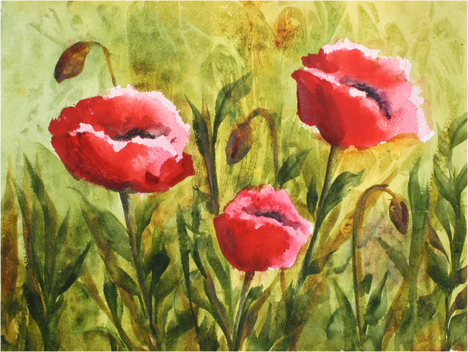 [Poppies+in+the+Green]