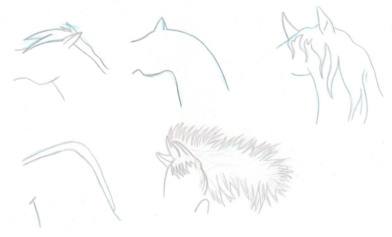 Ethan Clements Horse Hair Drawings...