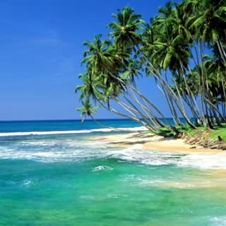 ,(’سِِِـ‘ـِريلانـ/ـكـآ,~ Srilanka_beach