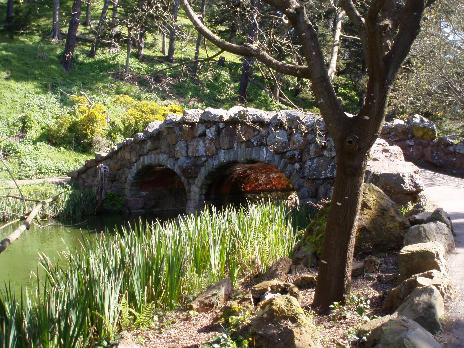 [P3070037.JPG]