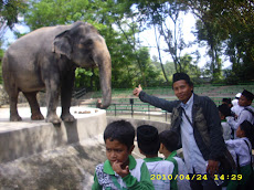 melawat tok gajah
