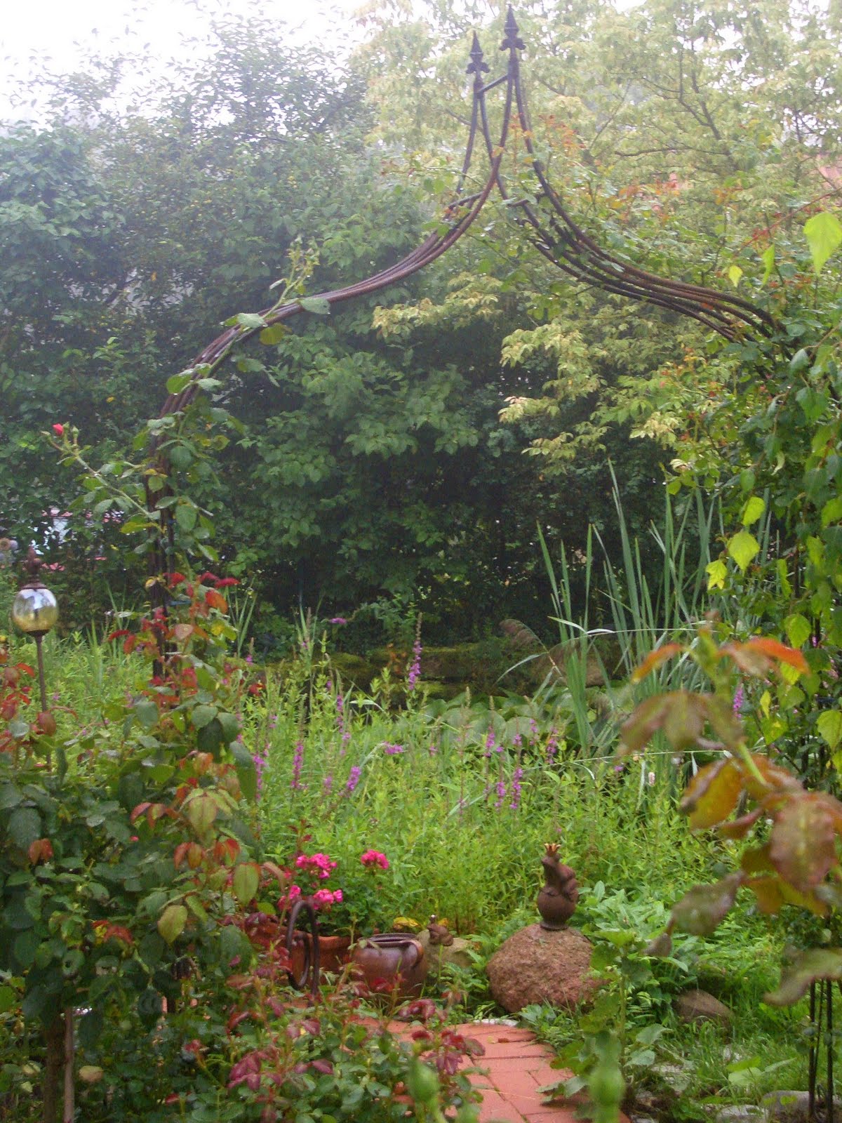 Rosenperle Der Garten