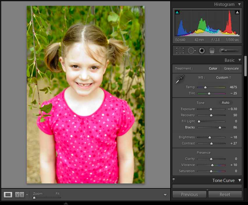 SpeedScraps Fixing an Overexposed Photo in Lightroom