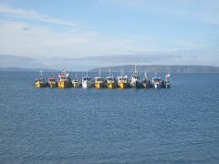 Lanchas de Isla Chulín