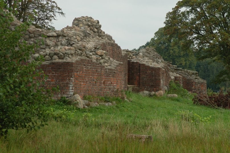 Thyra Mysteries 6) Gurre Castle Ruin