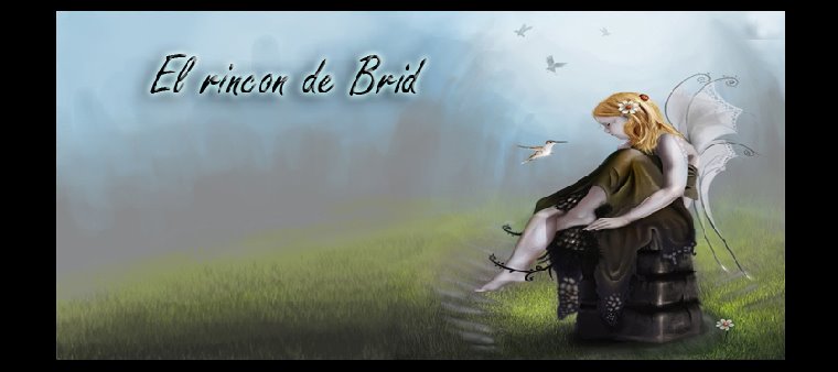 El Rincon de Brid