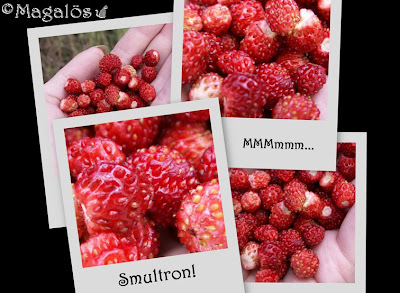 Smultroncollage