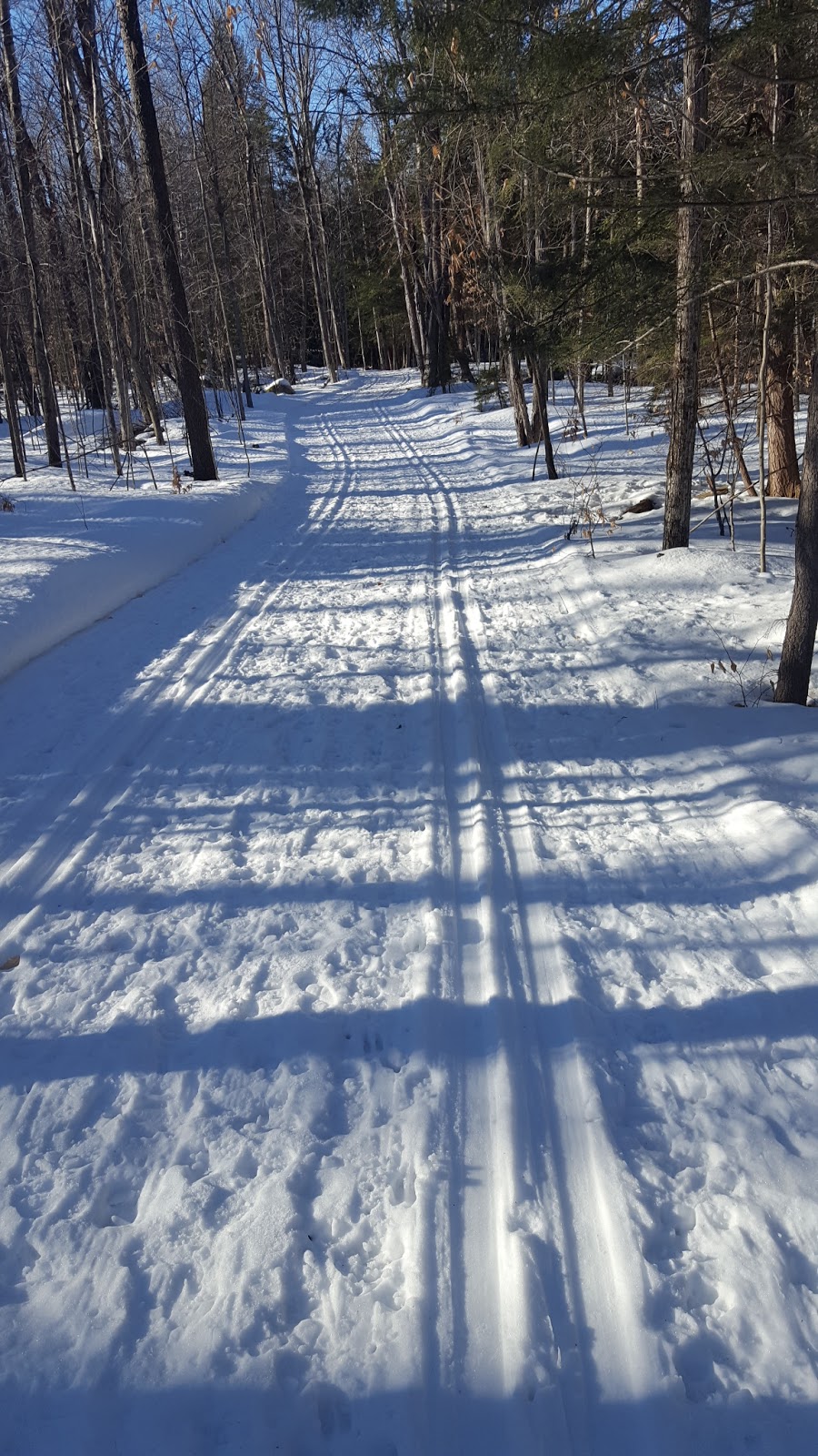 Skiing and Snowshoeing at the Tupper Lake Country Club to Big Tupper