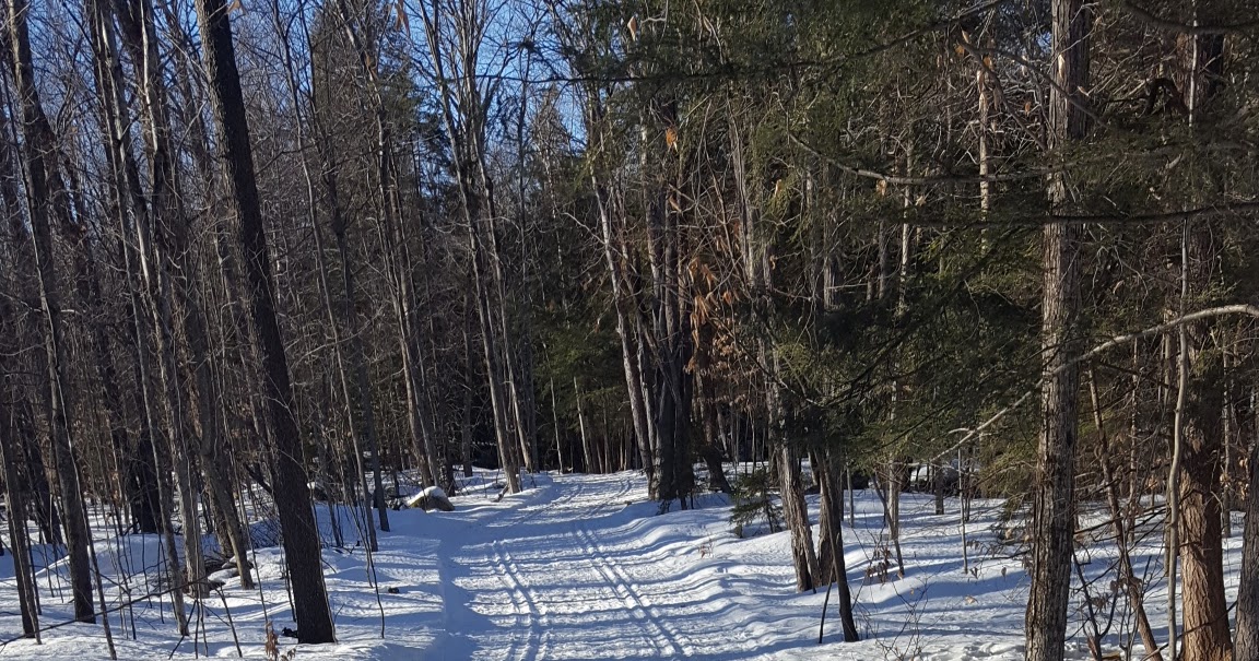 Skiing and Snowshoeing at the Tupper Lake Country Club to Big Tupper