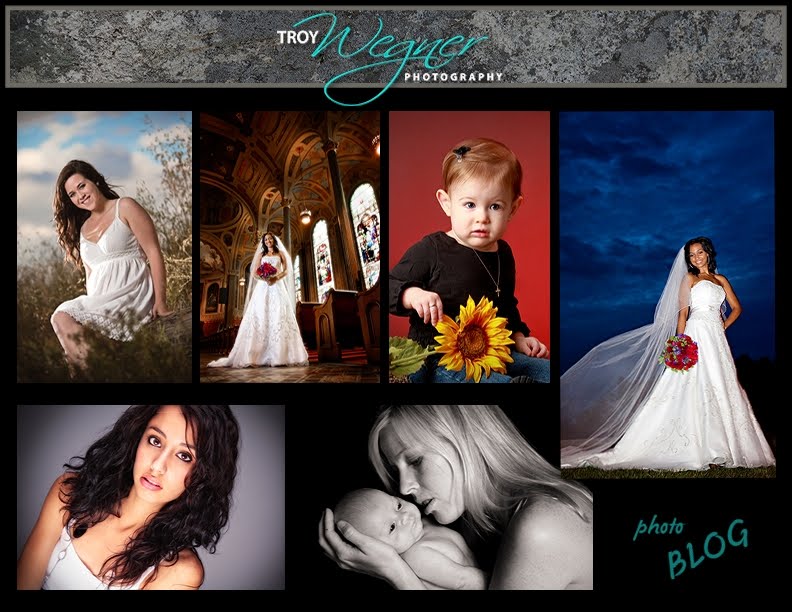 Troy Wegner Photography Blog, Visalia,Fresno Wedding, Seniors and Family Photographer