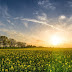 Vitamin D deficiency - Symptoms , Diagnosis and supplementation.