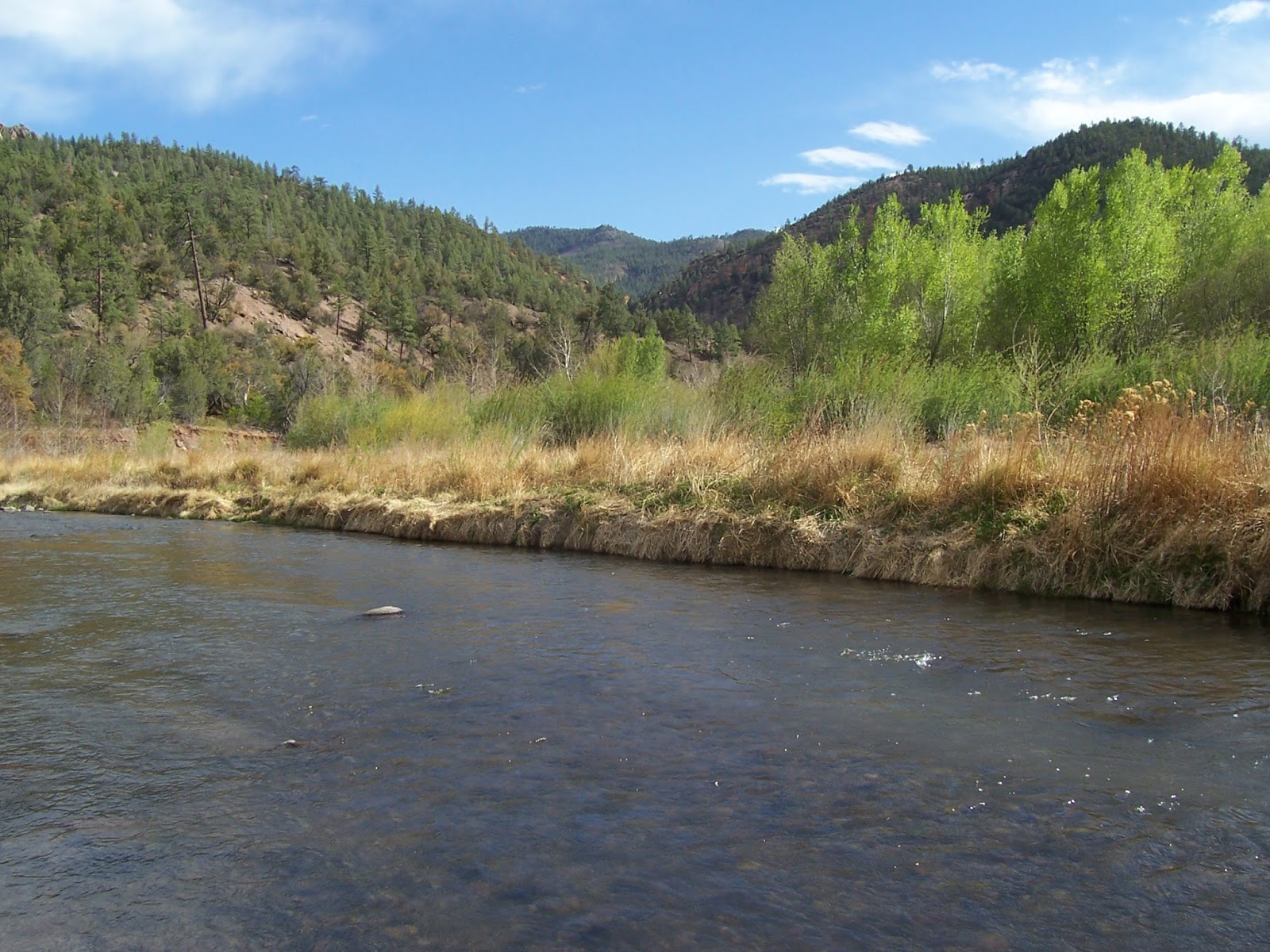 Southern New Mexico Explorer Gila River, Alum Trail( FT 788) Gila