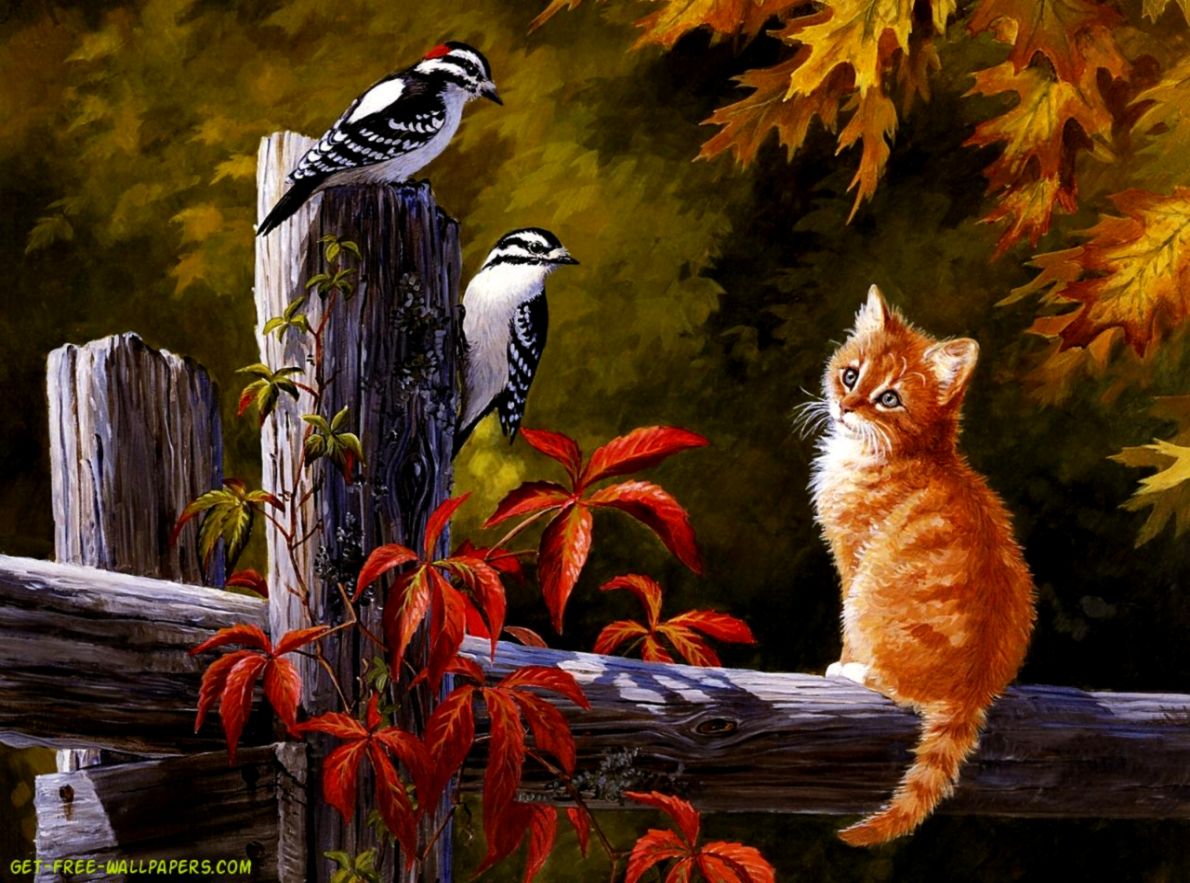 Gallery Popular Screensaver | Image Wallpapers HD