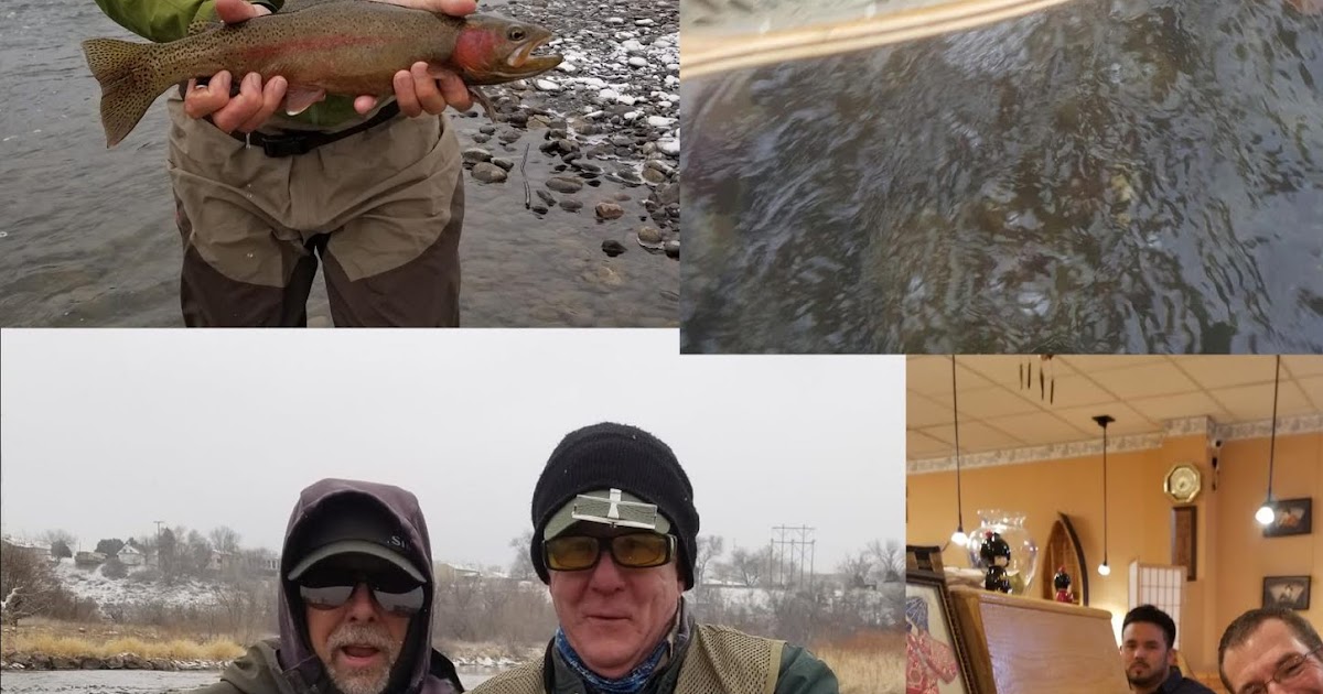 Arkansas River Tailwater Fly Fishing Report