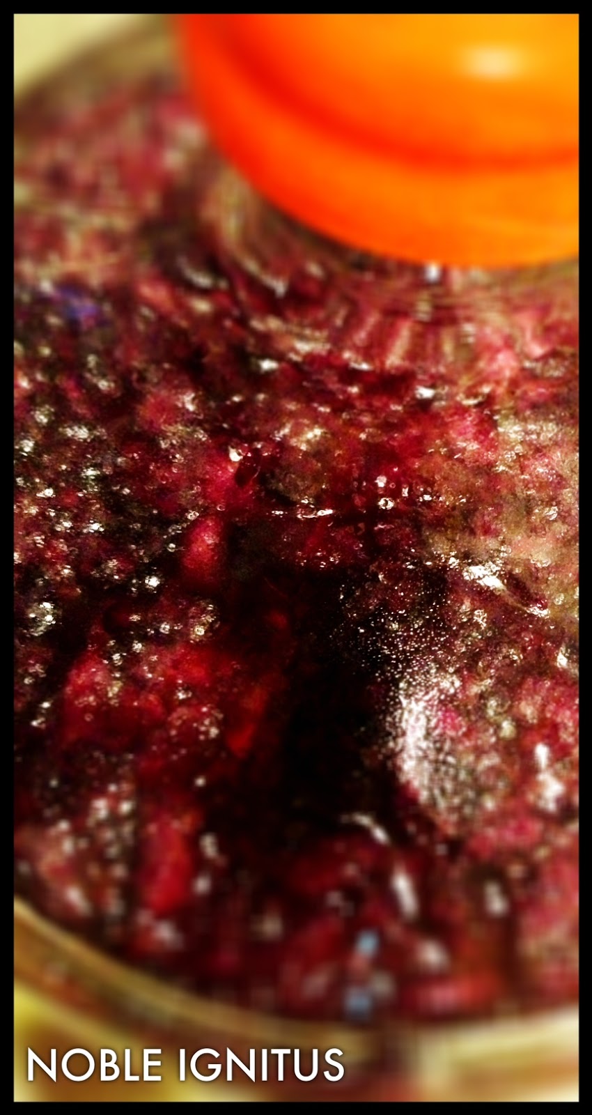 NOBLE IGNITUS Mulberry cider