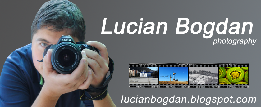 Lucian Bogdan Photography