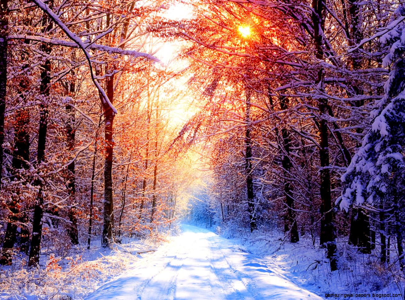 Full HD Wallpapers  Blue Nature Red by Sven Muller Roads