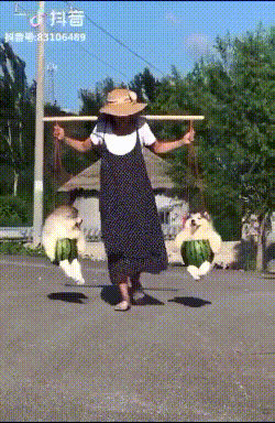 1.gif