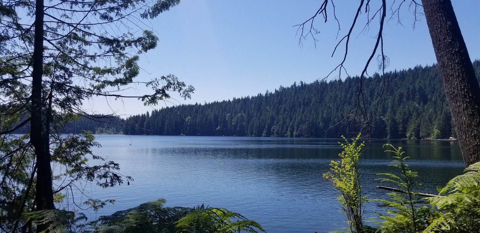 Sasamat Lake Loop & Swamp Haven Port Moody BC, Canada chichicho