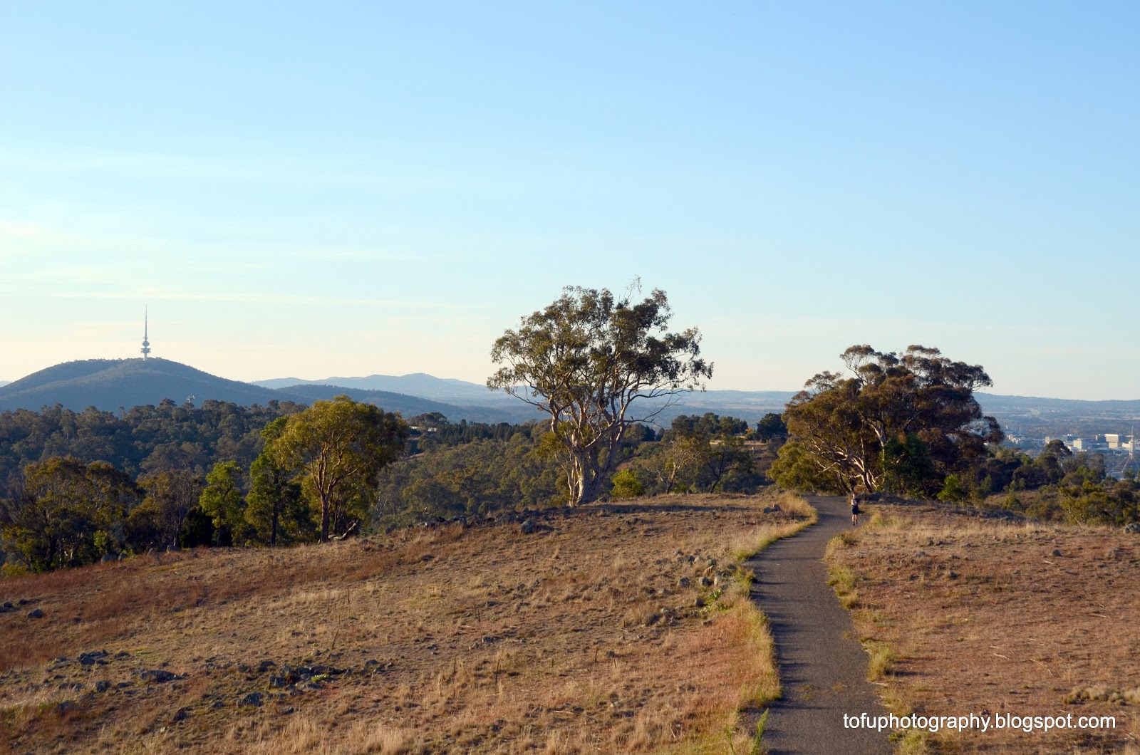 Tofu Photography: A path at Red Hill, Canberra