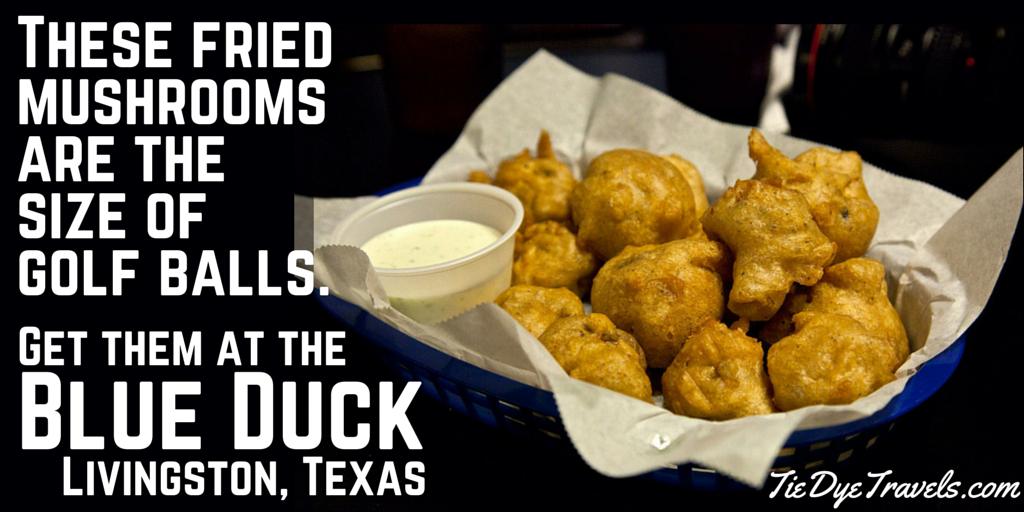 Tie Dye Travels with Kat Robinson Author, Arkansas Food Historian, TV