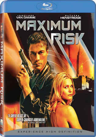 Maximum Risk 1996 BRRip 300Mb Hindi Dual Audio 480p