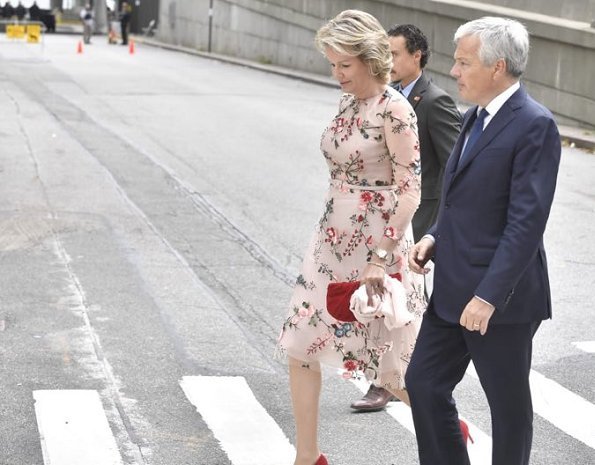 Queen Mathilde wear Natan outfit at the events and meetings in New York. Crown princess Victoria Dolce and Gabbana floral dress