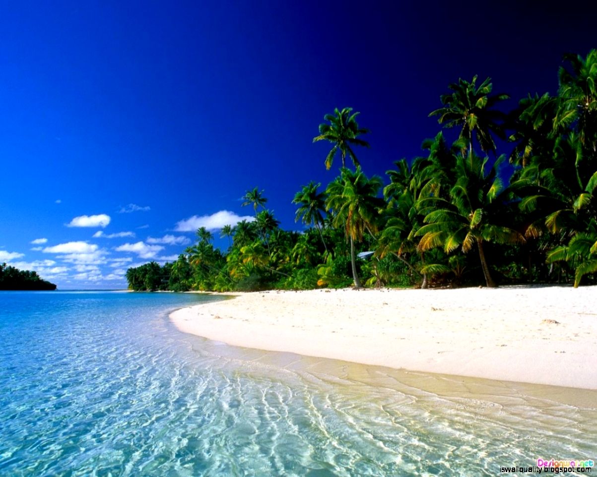 Tropical Beach Wallpaper | Wallpapers Quality