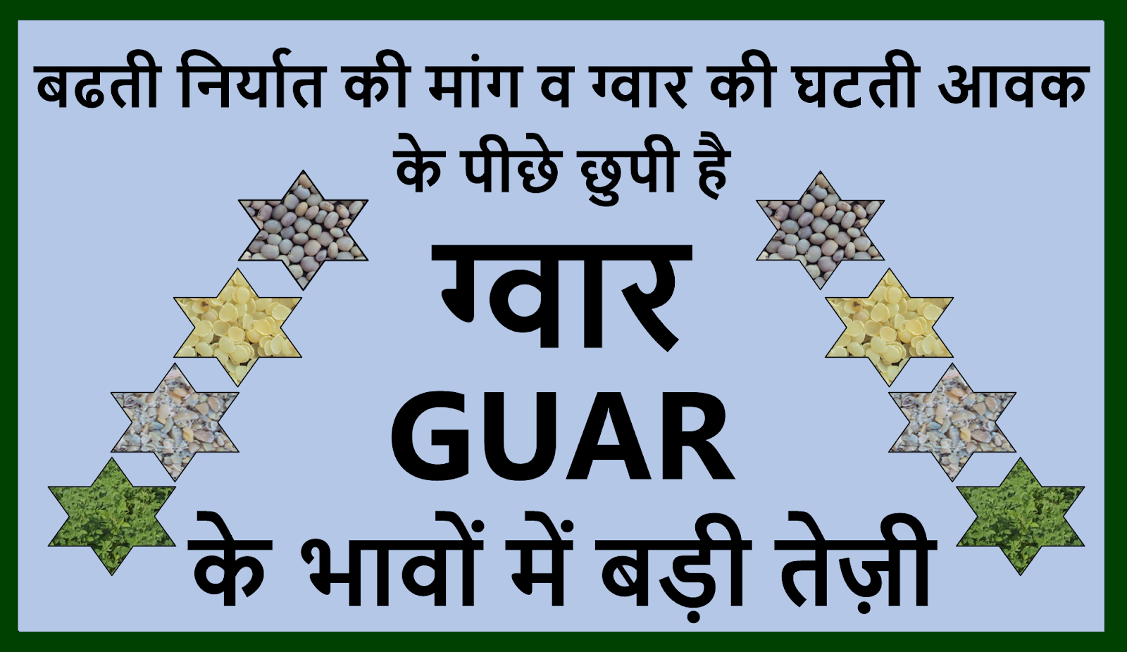 GUAR GUM INFORMATION AND GUAR GUM CULTIVATION IN INDIA क्या ग्वार गम