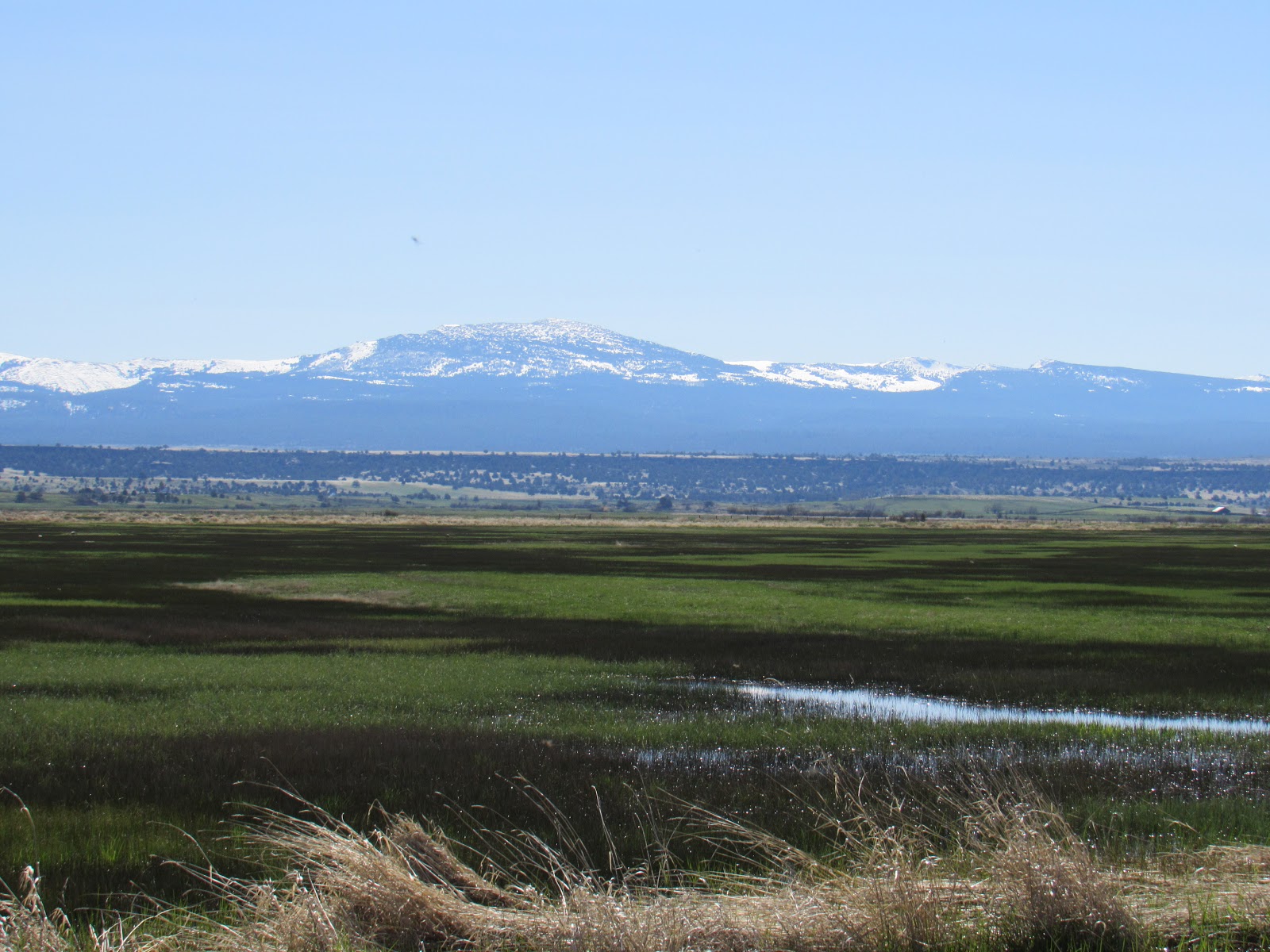 Vaughn the Road Again Modoc National Wildlife Refuge ↔ Alturas, California