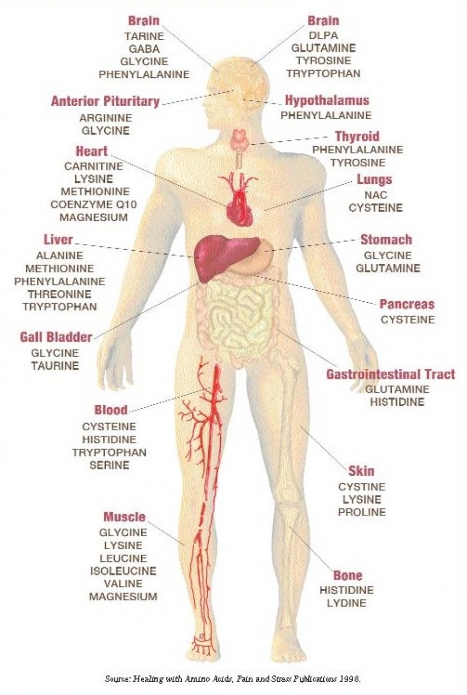 Body image essays