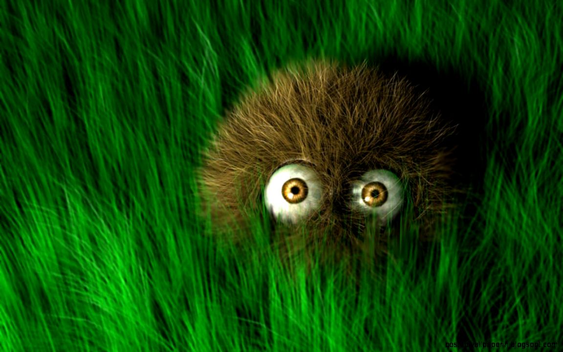 Desktop backgrounds  Backgrounds  Humor  Funny  animals new