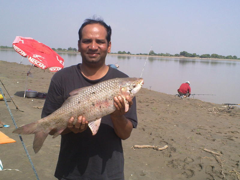 Fishing In Pakistan Fishing in pakistan (Bhakkar Trip) 2010
