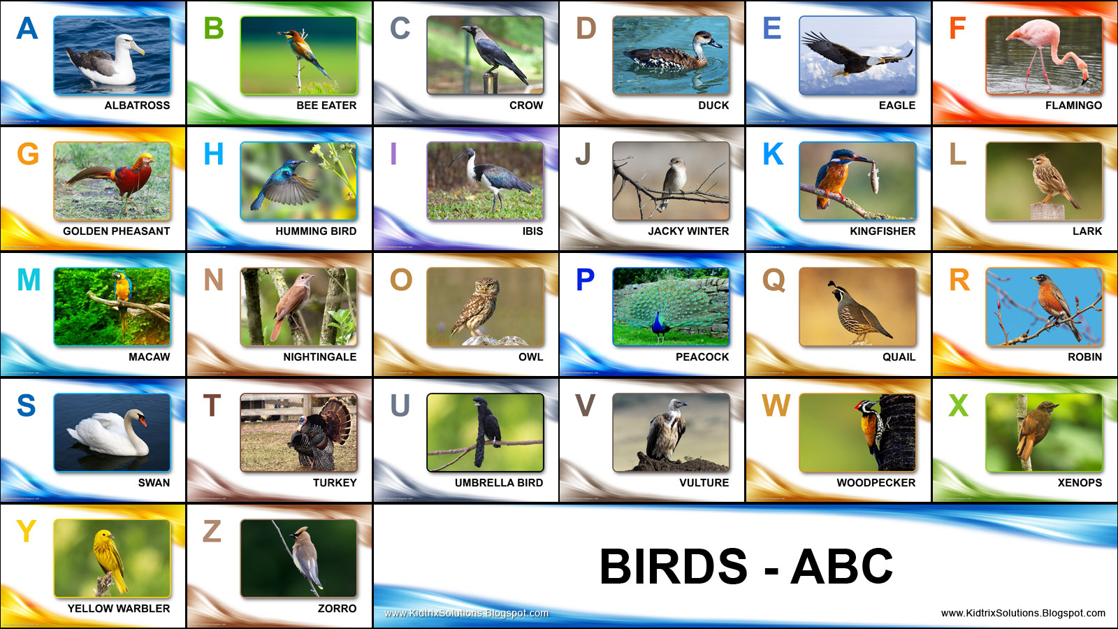 Kidtrix Birds ABC